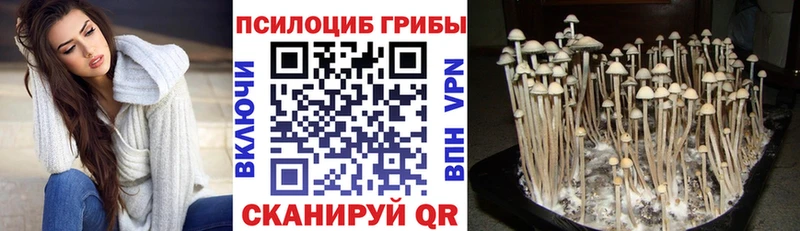 Купить закладки Протвино Псилоцибиновые грибы мухоморы