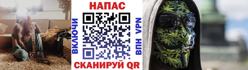 Купить  Протвино  Конопля сатива 